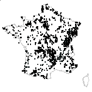 Luzula campestroides H.Lév. - carte des observations