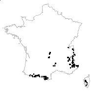 Luzula spicata (L.) DC. - carte des observations