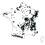 Luzula sylvatica (Huds.) Gaudin subsp. sylvatica - carte des observations