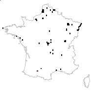 Lemna gibba L. - carte des observations