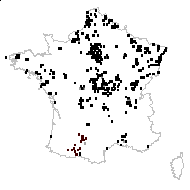 Lenticula vulgaris Delarbre - carte des observations