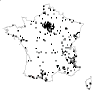 Allium riparium Opiz - carte des observations