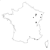 Allium rotundum L. subsp. rotundum - carte des observations