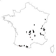 Allium longibulbum Dulac - carte des observations