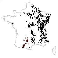 Colchicum autumnale L. - carte des observations