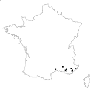 Colchicum longifolium Castagne - carte des observations