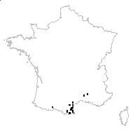 Uropetalon bourgaei Nyman - carte des observations