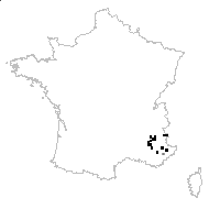 Fritillaria tubiformis Gren. & Godr. - carte des observations