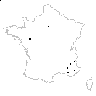 Ornithoxanthum villosum (M.Bieb.) Link - carte des observations