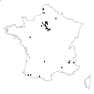 Hemerocallis lilioasphodelus var. fulva L. - carte des observations