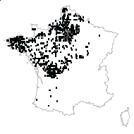 Lagocodes belgica (Bory) Raf. - carte des observations