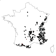 Martagon sylvaticum Opiz - carte des observations