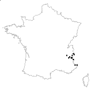 Ornithogalum striatum Willd. - carte des observations