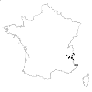 Lloydia serotina (L.) Rchb. - carte des observations