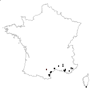 Loncomelos narbonensis (L.) Raf. - carte des observations