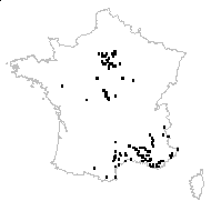 Ornithogalum declinatum Jord. & Fourr. - carte des observations