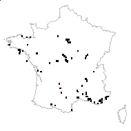 Scilla autumnalis L. - carte des observations