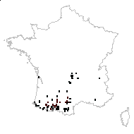 Scilla lilio-hyacinthus L. - carte des observations