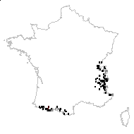 Heriteria pseudoasphodelus (Jacq.) Borkh. - carte des observations