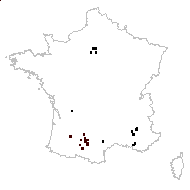 Tulipa sylvestris subsp. grandiflora (Hy) Hayek - carte des observations