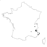 Veratrum nigrum L. - carte des observations