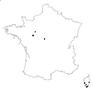 Ormenis bicolor Cass. - carte des observations