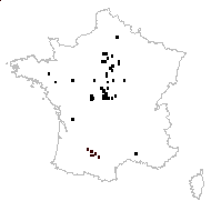 Najas marina L. - carte des observations