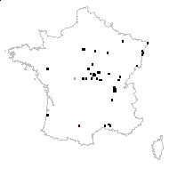 Aegle fragilis Dulac - carte des observations