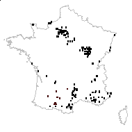 Anacamptis pyramidalis (L.) Rich. var. pyramidalis - carte des observations