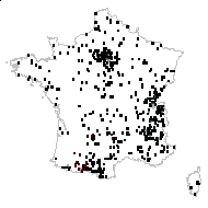 Orchis tetragona Heuff. - carte des observations