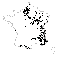Amesia rubiginosa (Crantz) Mousley - carte des observations