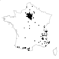 Helleborine viridans (Crantz) Samp. - carte des observations