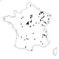 Serapias latifolia proles viridiflora Hoffm. - carte des observations