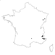 Limodorum epipogium (L.) Sw. - carte des observations