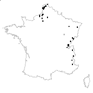 Ophrys monorchis L. - carte des observations