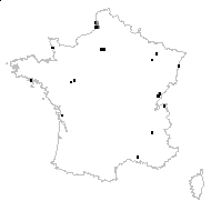 Liparis loeselii (L.) Rich. - carte des observations