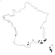 Neotinea maculata (Desf.) Stearn - carte des observations