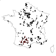 Ophrys sphegodes sensu auct. - carte des observations