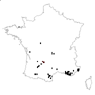 Ophrys pectus Mutel - carte des observations