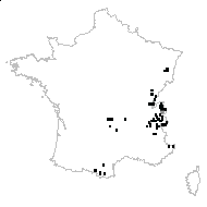 Lactuca alpina (L.) A.Gray - carte des observations