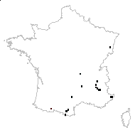 Orchis pseudopallens K.Koch - carte des observations