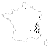 Orchites globosa (L.) Schur - carte des observations