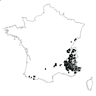 Lasiagrostis calamagrostis var. transsilvanica Schur - carte des observations