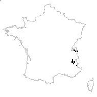Agrostis schraderiana Bech. - carte des observations