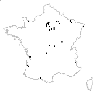 Agrostis graniticola Klokov - carte des observations