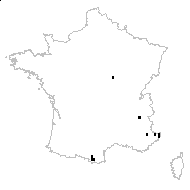 Agrostis mertensii Trin. - carte des observations