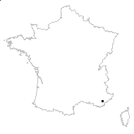 Agrostis pourretii Willd. - carte des observations