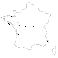 Anthoxanthum odoratum var. puelii (Lecoq & Lamotte) Coss. & Durieu - carte des observations