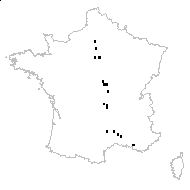 Agrostis spica-venti var. interrupta G.Mey. - carte des observations