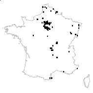 Apera spica-venti (L.) P.Beauv. subsp. spica-venti - carte des observations